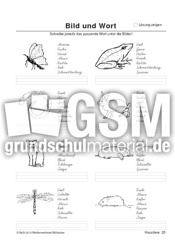 BuW Haustiere25.pdf
